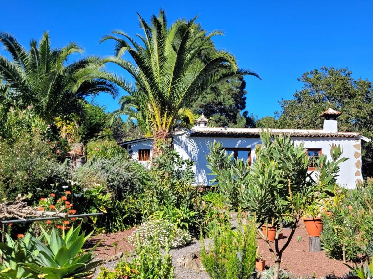 Finca Llano De La Cebolla Icod De Los Vinos Bagian luar foto