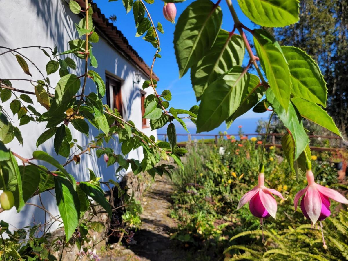 Finca Llano De La Cebolla Icod De Los Vinos Bagian luar foto