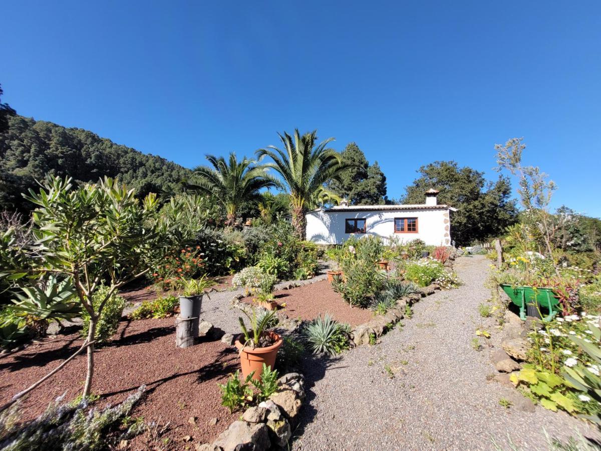 Finca Llano De La Cebolla Icod De Los Vinos Bagian luar foto