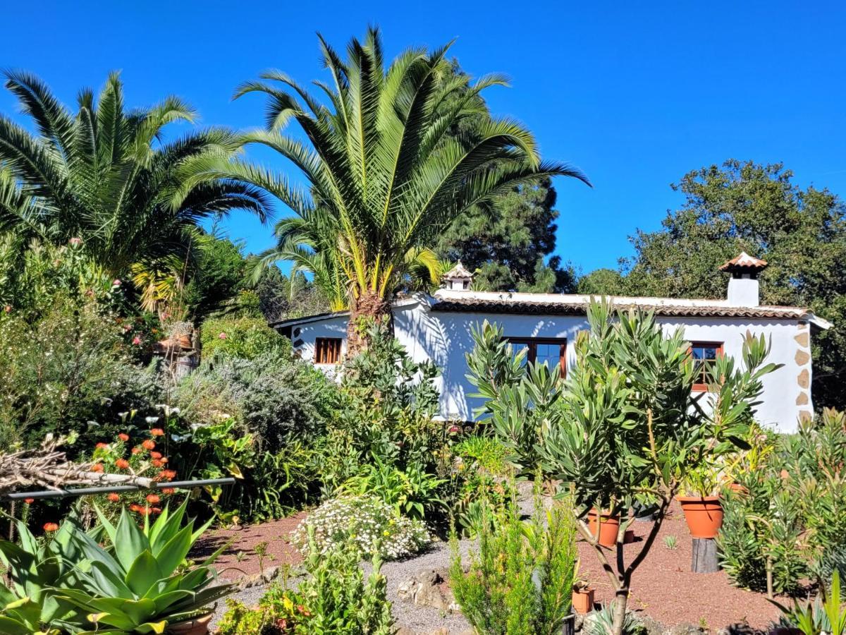Finca Llano De La Cebolla Icod De Los Vinos Bagian luar foto