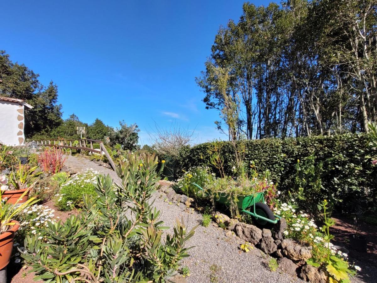 Finca Llano De La Cebolla Icod De Los Vinos Bagian luar foto