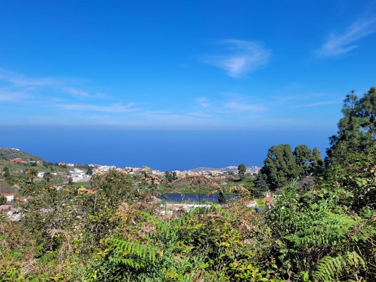 Finca Llano De La Cebolla Icod De Los Vinos Bagian luar foto